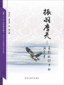 【东北三江流域文化丛书】振羽摩天：多维视野中的海东青