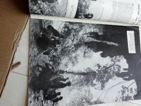 越南人民画报，英文版1959.11.12