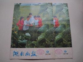 湖南画报（1978.9）