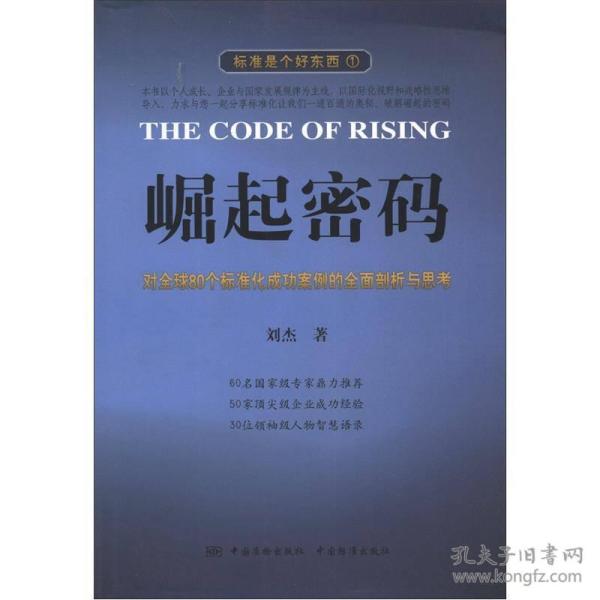 标准是个好东西1：崛起密码