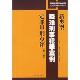 新类型疑难刑事犯罪案例定罪量刑点评