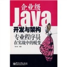 Java技术大系·企业级Java开发与架构：专业程序员在实战中的蜕变