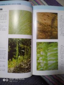 有毒中草药彩色图鉴
