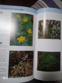 有毒中草药彩色图鉴