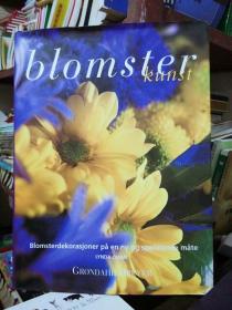 blomster kunst（德文 精装）品相好