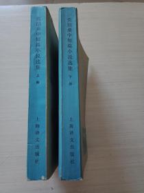 莫泊桑中短篇小说选集 上下册 【书口自然旧，书品见图】