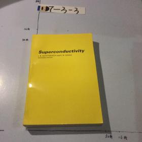 英文原版：superconductivity 上书口有黄斑 微黄 .