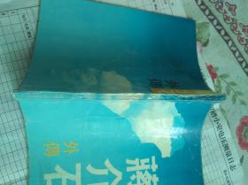 蒋介石外传