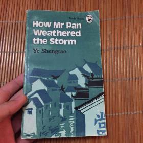 HOW Mr pan weathered the storm