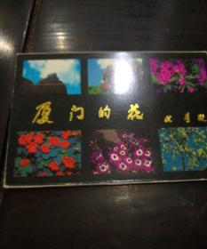 厦门的花