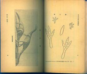 自然科学小丛书：《中生代后之地球历史》1950年再版【品如图】