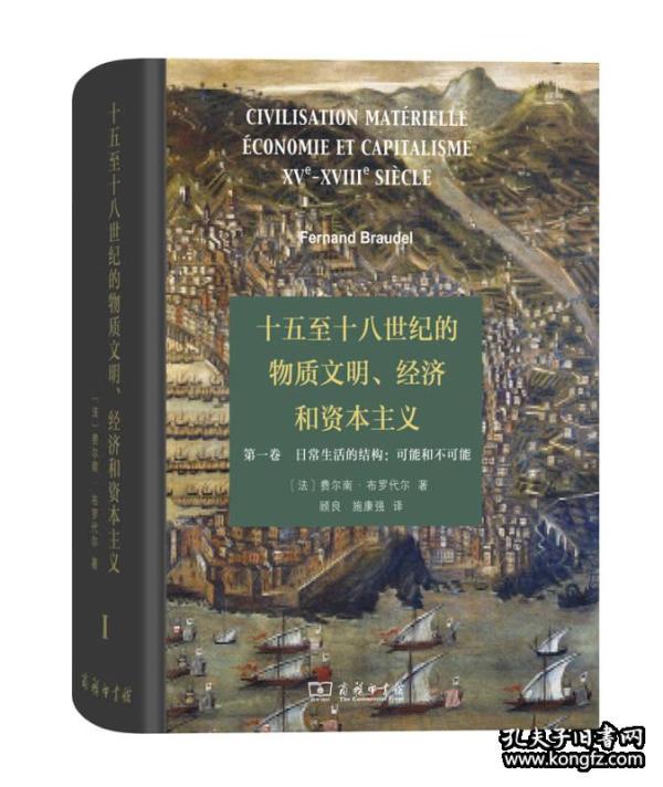 十五至十八世纪的物质文明、经济和资本主义（第一卷 日常生活的结构：可能和不可能）