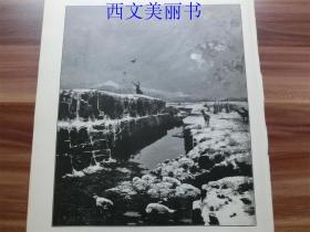 【现货 包邮】1893年木刻版画《沼泽地的冬日》（Wintertag im Hochmoor） 尺寸约40.8*27.5厘米（货号 18029）