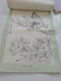 花鸟白描(满良)