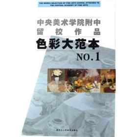 色彩大范本1中央美术学院附属中等美术学校