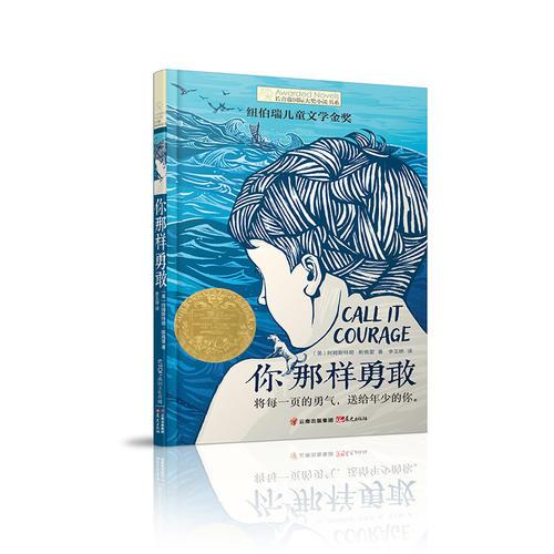 你那样勇敢9787541493041