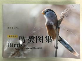 上海南汇鸟类图集