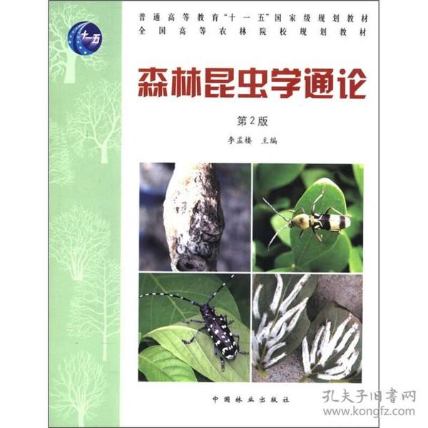 森林昆虫学通论 第二版第2版 李孟楼 中国林业出版社 9787503858147