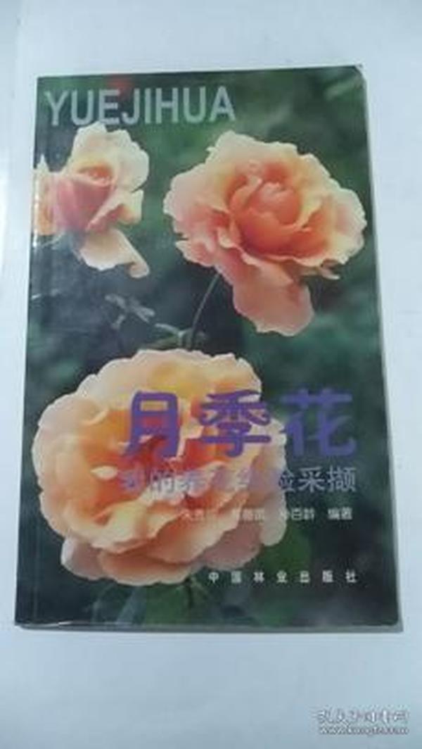 月季花 我的养花经验采撷     朱秀珍等 著