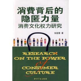 消费背后的隐匿力量——消费文化权力研究