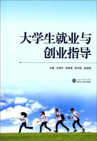 大学生就业与创业指导 王虎平、宋继革、苗书宾 武汉大学出版社 9787307138896