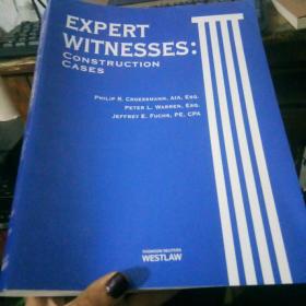 expert witnesses;construction cases