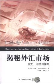 东航金融·衍生译丛·揭秘外汇市场：技巧、估值与策略（引进版）