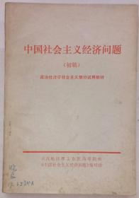 中国社会主义经济问题（初稿） 政治经济学社会主义部分试用教材