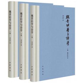 魏晋经学与诗学（全三册）精