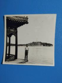 1955年【老照片】背景北海公园一角
