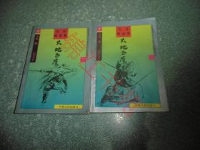 老武侠小说 大地飞鹰（校订本）（上下）
