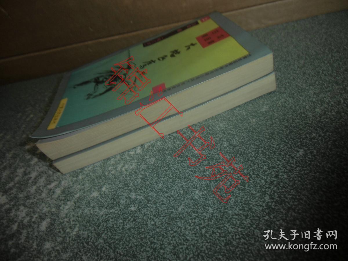 老武侠小说 大地飞鹰（校订本）（上下）