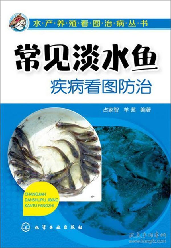 水产养殖看图治病丛书：常见淡水鱼疾病看图防治