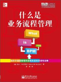 什么是业务流程管理：组织价值链管理和流程改进的突破性战略