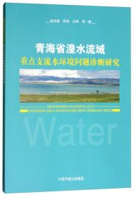 青海省湟水域重点直流水环境问题诊断研究