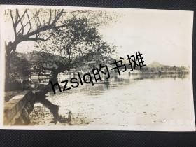 【照片珍藏】民国早期杭州风光建筑照片_杭州西湖曲院风荷以及苏堤周边景象