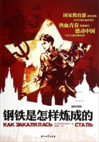 钢铁是怎样炼成的（插图珍藏版）大开本