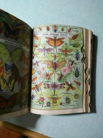 综合韦氏百科全书词典(英文原版) 1957年版,16开精装厚册,英文部分有1617页,插图精美清晰 罕见