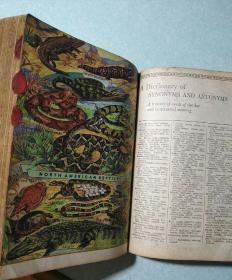 综合韦氏百科全书词典(英文原版) 1957年版,16开精装厚册,英文部分有1617页,插图精美清晰 罕见