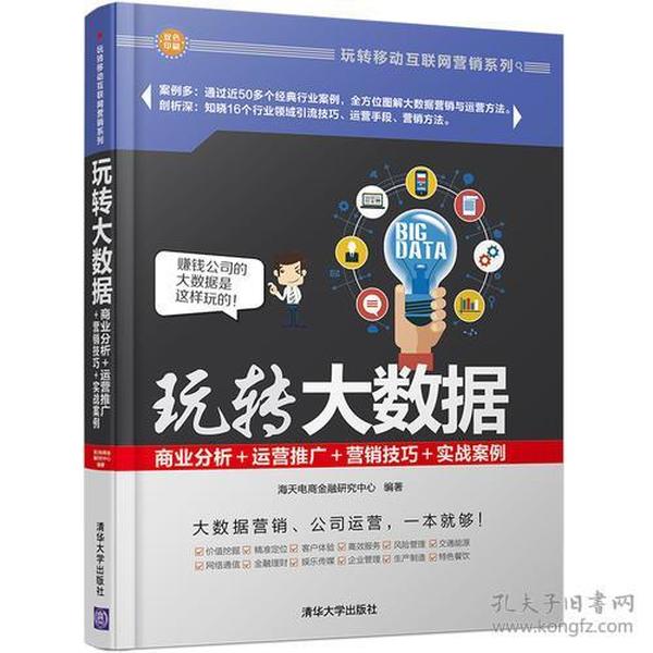 玩转大数据：商业分析＋运营推广＋营销技巧＋实战案例 玩转移动互联网营销系列