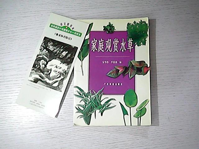家庭观赏水草