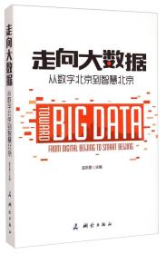 走向大数据：从数字北京到智慧北京