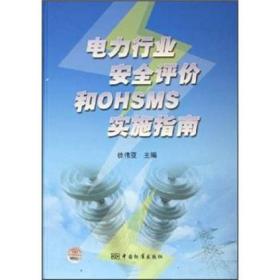 电力行业安全评价和OHSMS实施指南