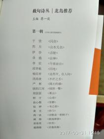 当代新诗截句诗丛：山水无名+这些年，在人间+诗歌是一把椅子+灵魂体操+不烂之舌+安静+国王的湖等【套装全19册+赠1册共20册  5.2kg】