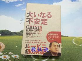 大いなる不安定——金融危机は偶然ではない、必然である【精装】