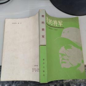 我的将军