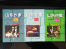 山东作家2002.1（复刊号）、2003.4、2004.1-2三本合售