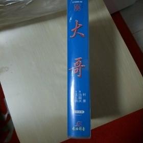 20集电视连续剧剧《大哥》主演——温玉娟、冯国庆、村里等……原装正版【20碟装VCD】