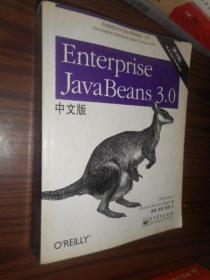 Enterprise JavaBeans 3.0中文版