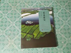 美哉雄安（见描述）